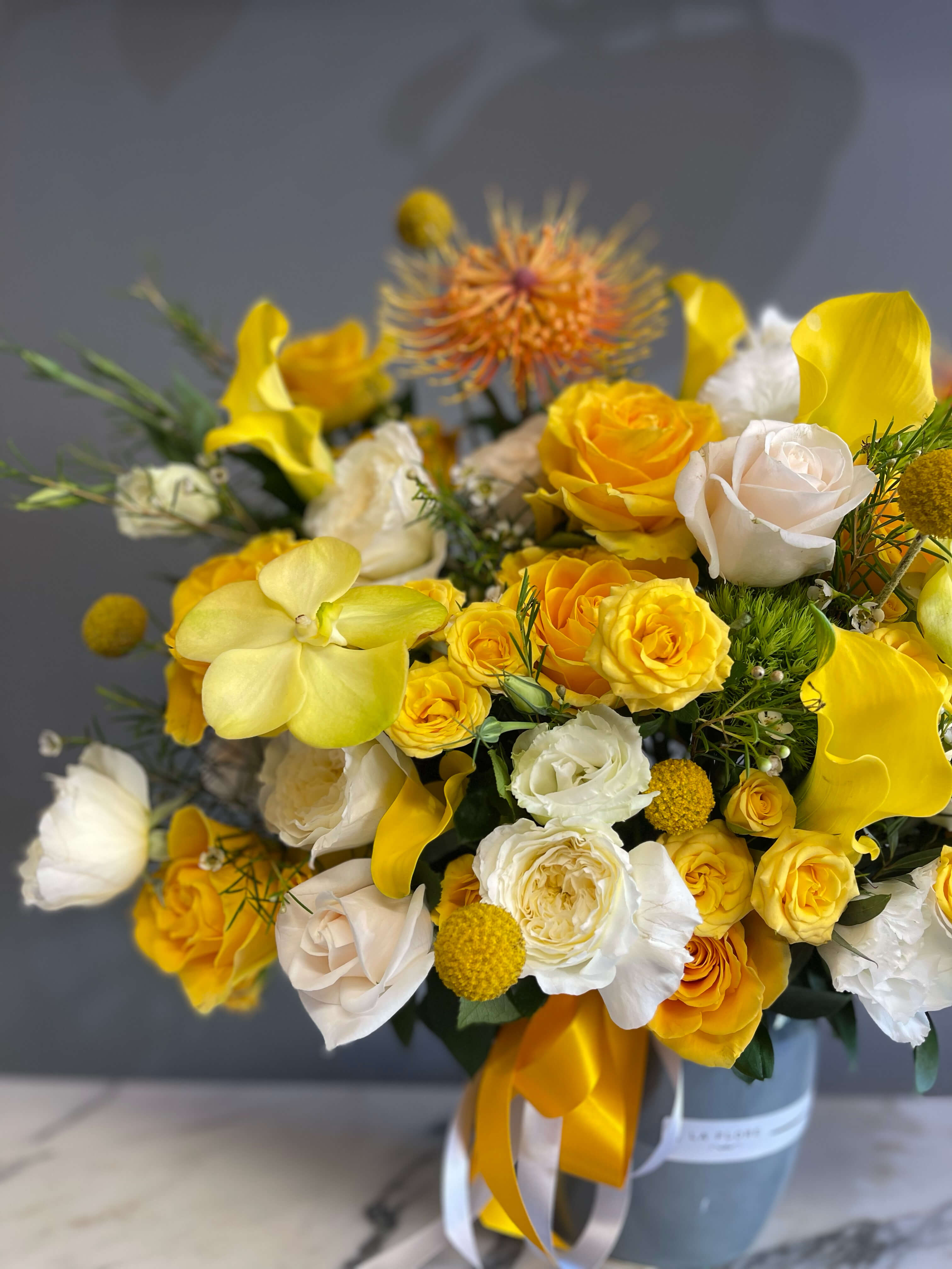Blooms
