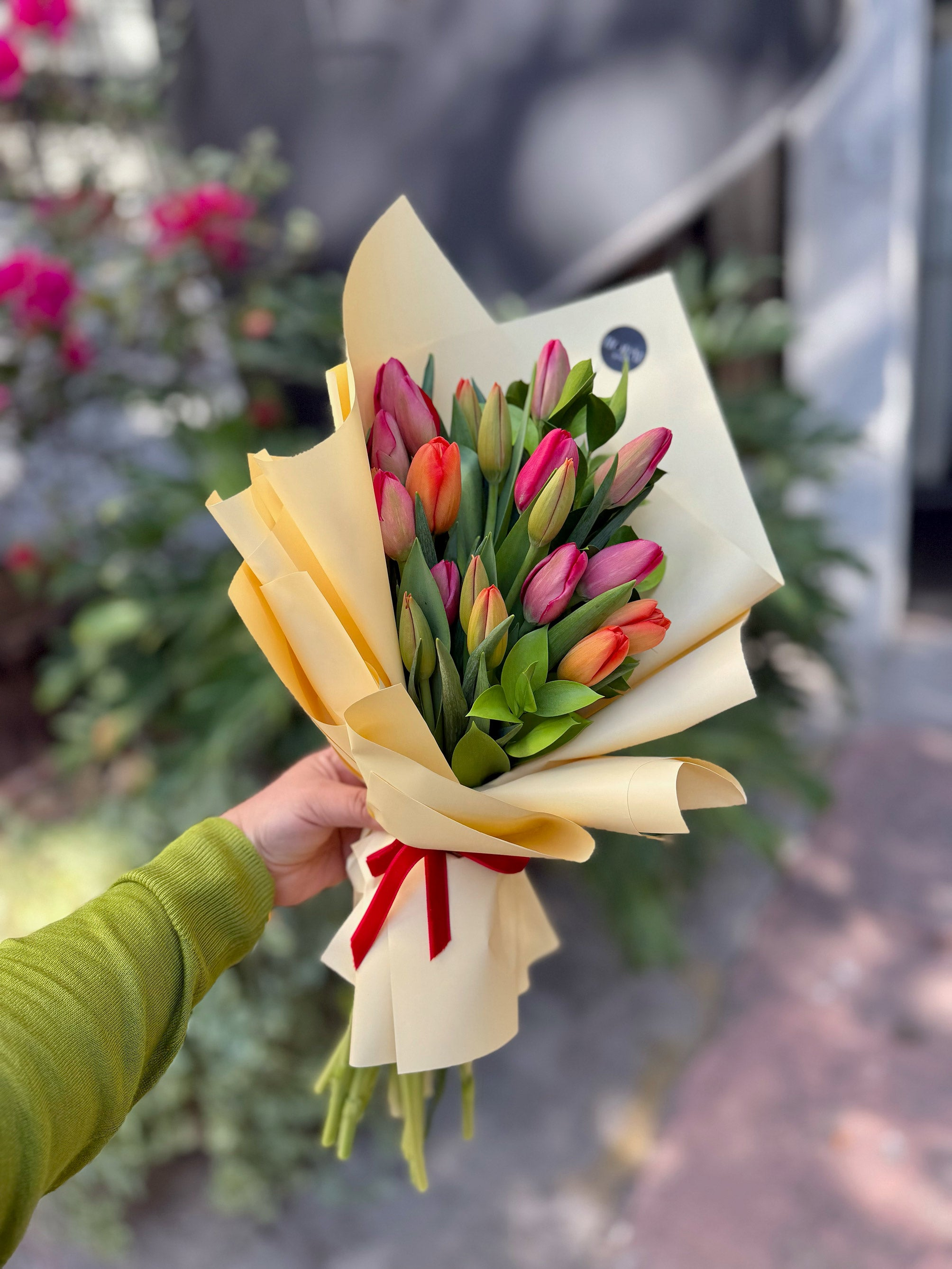 Tulipanes