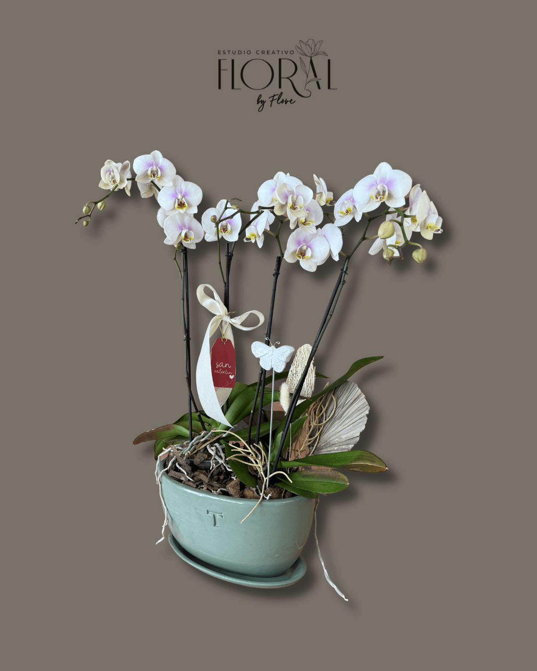 Orquídea individual